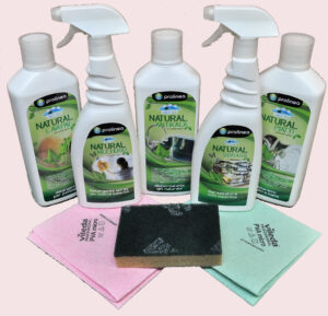 KIT DETERGENZA CASA GREEN